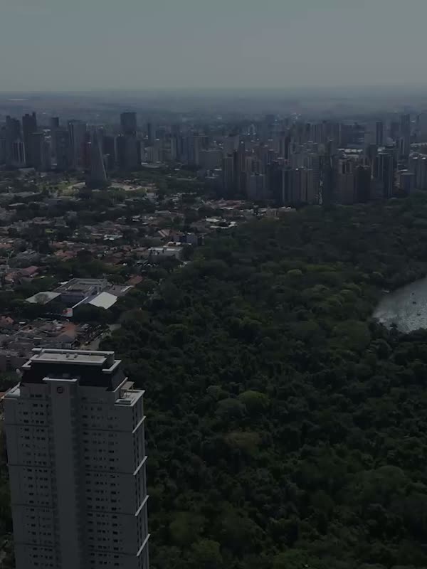 Cidade e mata nativa em captação aérea